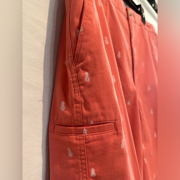 NWT Men’s Boca Classics 100% Brushed Cotton Flat-Front Pineapple Shorts - Picture 3 of 8